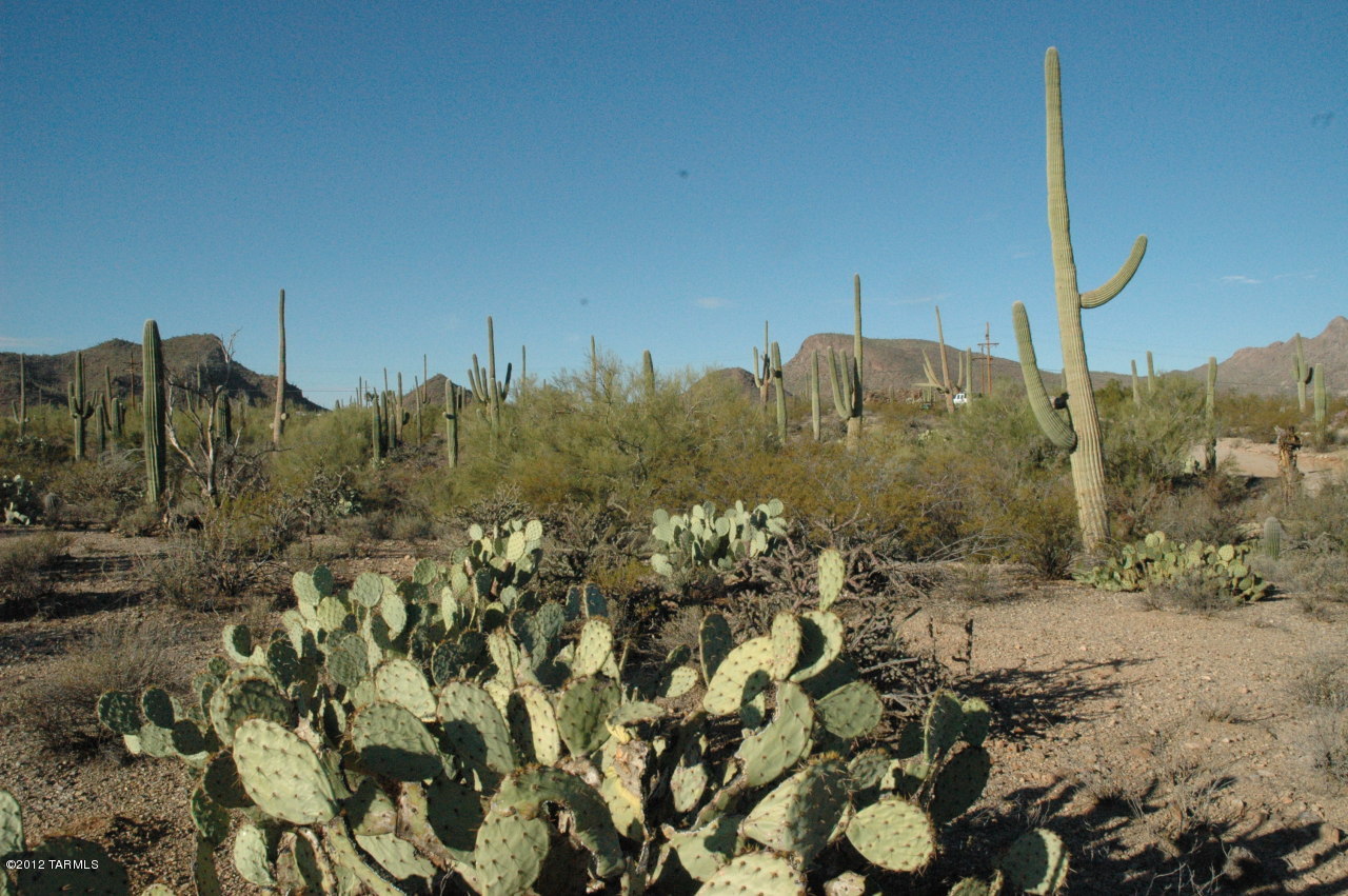 6800 North Wade Road Tucson, AZ 85743 - Photo 11 of 24 Gallery Image 11