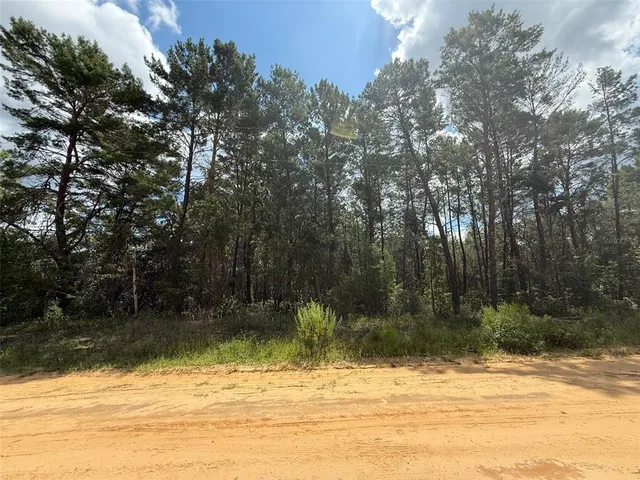 $10,500 | David Avenue, Interlachen, FL 32148