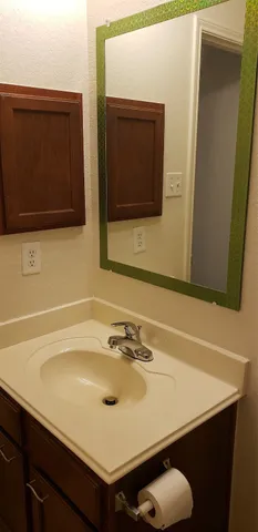 a bathroom with a sink and a mirror