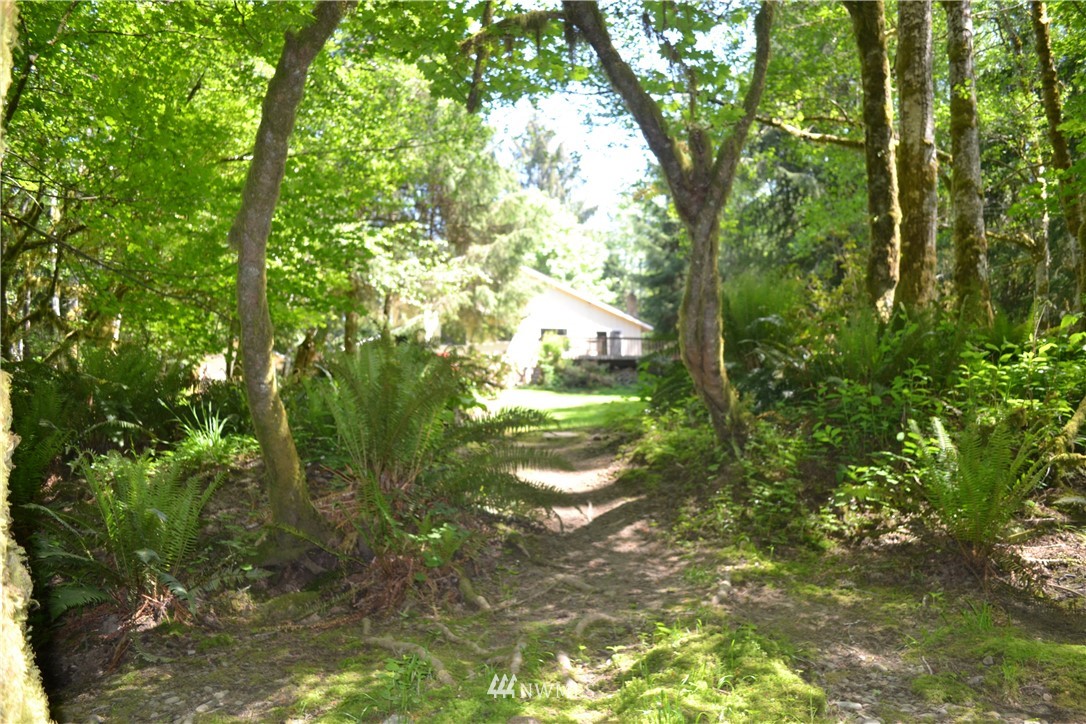 45 Elk Corner Road Forks, WA 98331 - Photo 9 of 23 Gallery Image 9