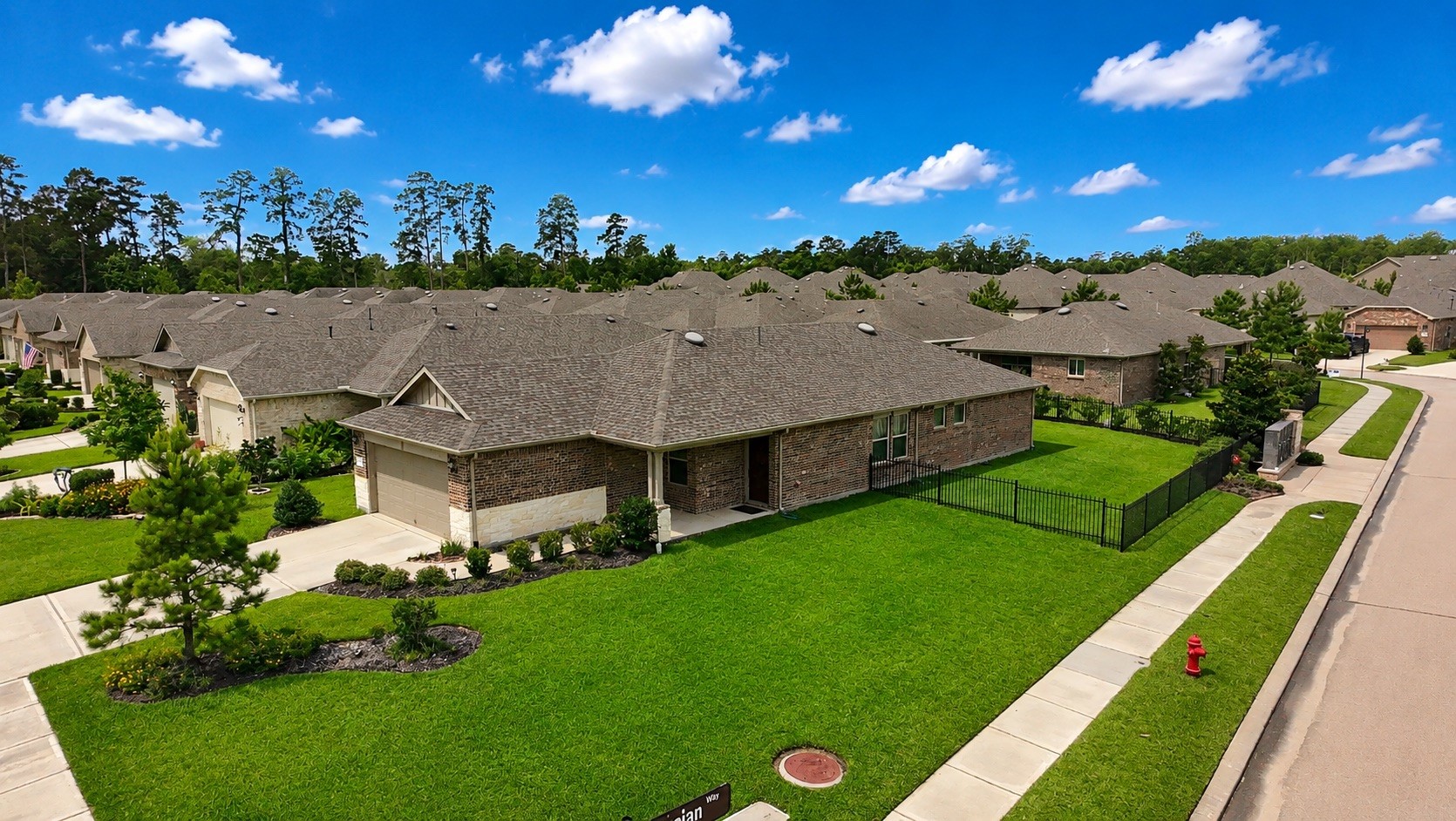 226 Flaxen Chestnut Spring Spring, TX 77382 - Photo 3 of 38