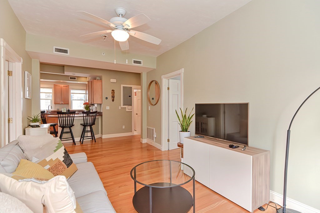 28 Holyoke Road, Unit 2 Somerville, MA 02144 - Photo 3 of 18 Gallery Image 3