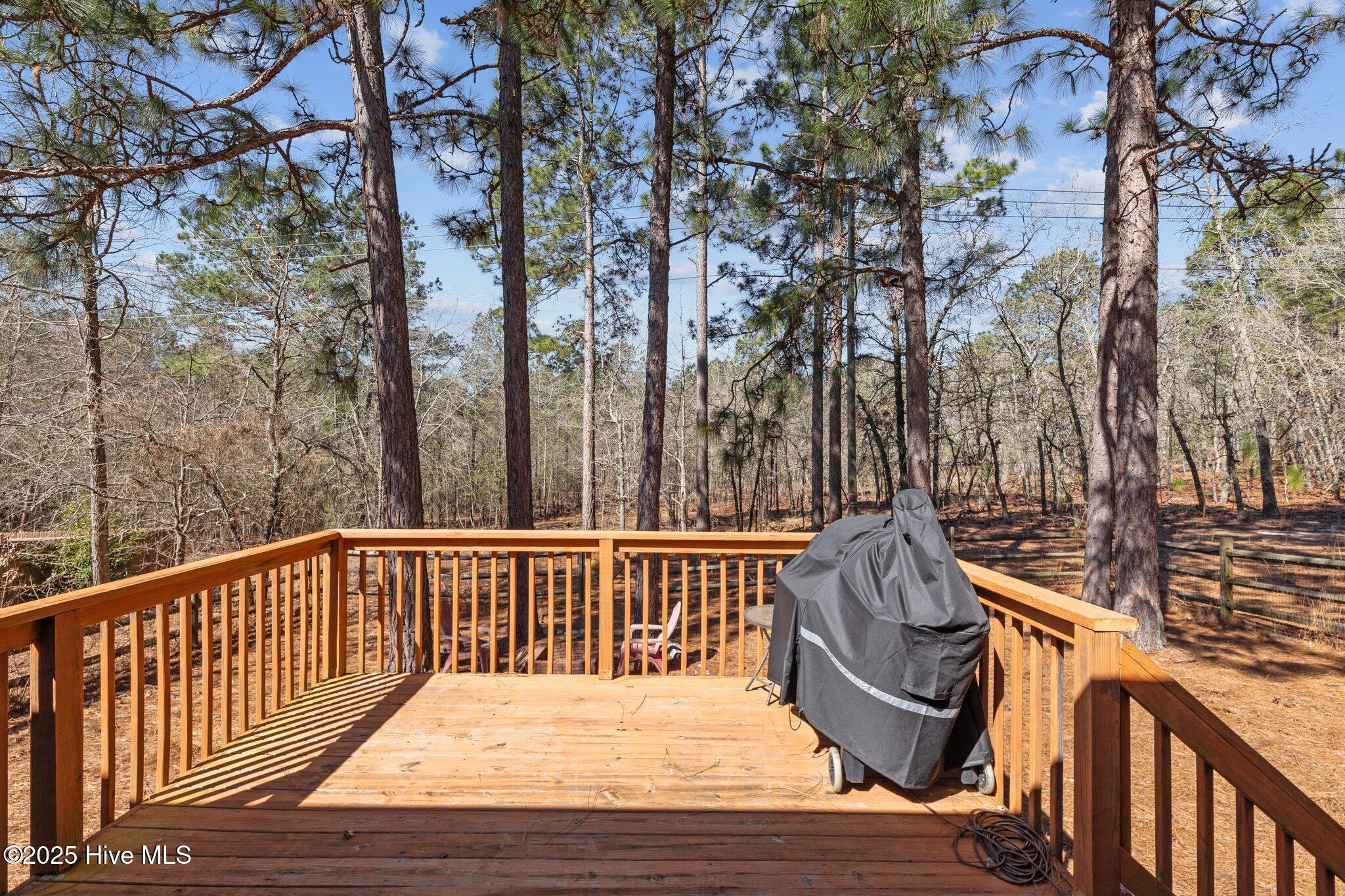 460 Sandhills Circle Pinehurst, NC 28374 - Photo 29 of 37 34-web-or-mls-707A2613