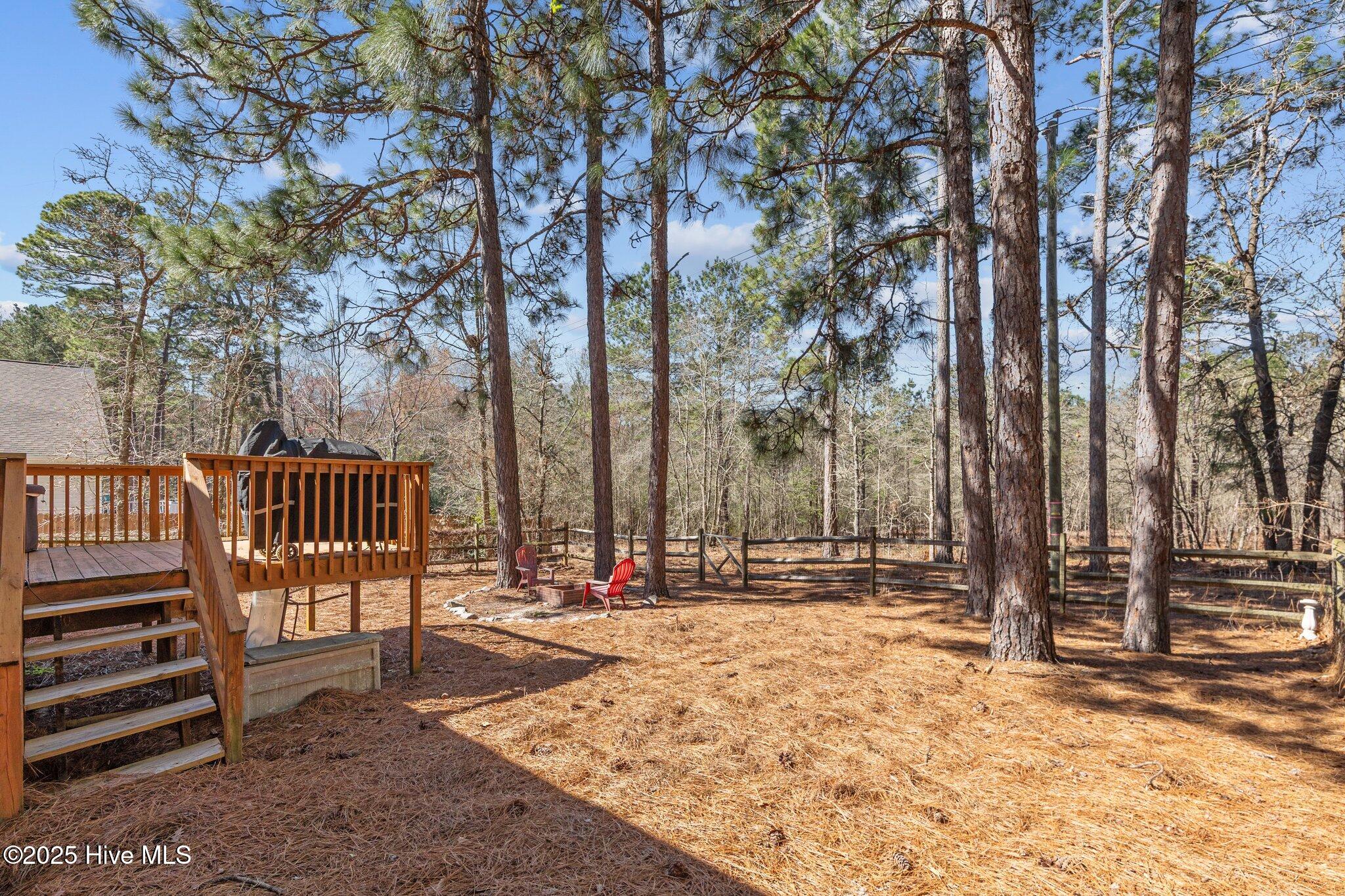 460 Sandhills Circle Pinehurst, NC 28374 - Photo 34 of 37 41-web-or-mls-707A2624