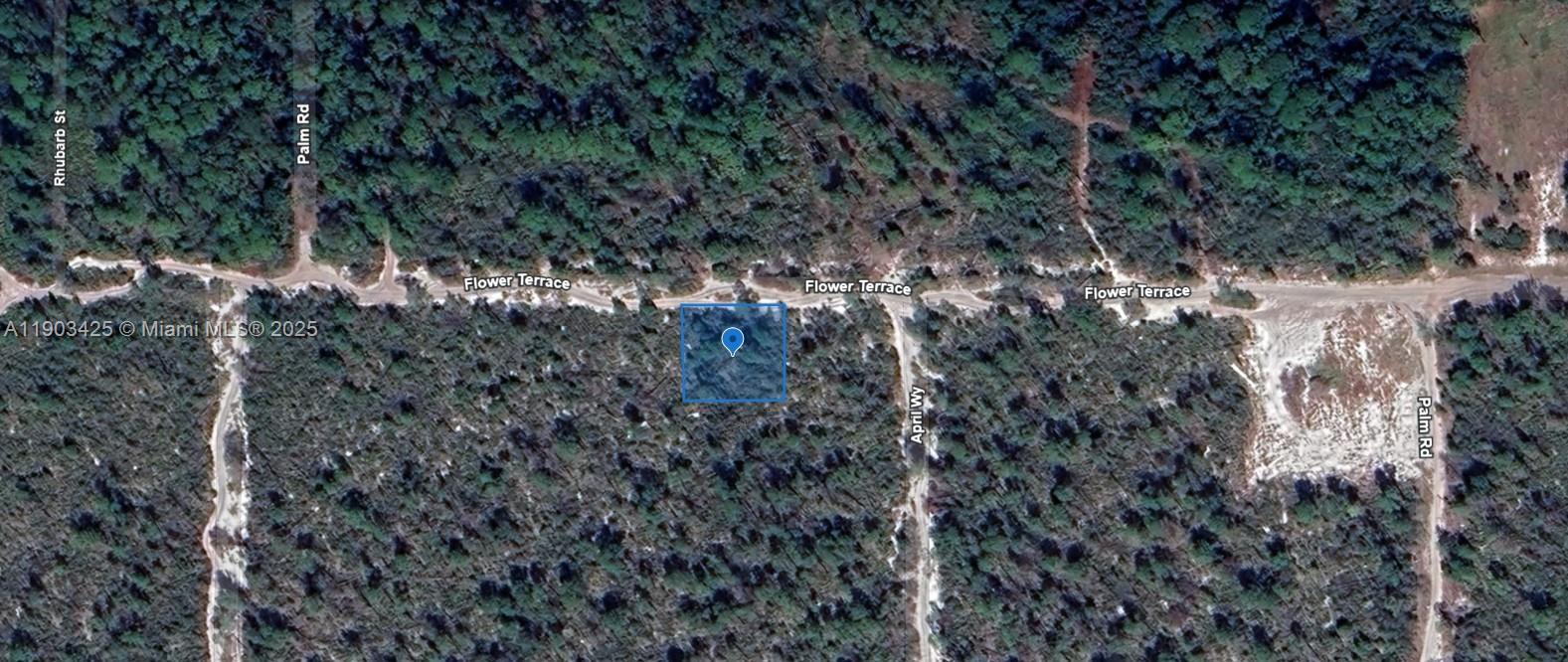 2215 Flower Terrace Sebring, FL 33875 - Photo 4 of 6 a view of a forest with a tree