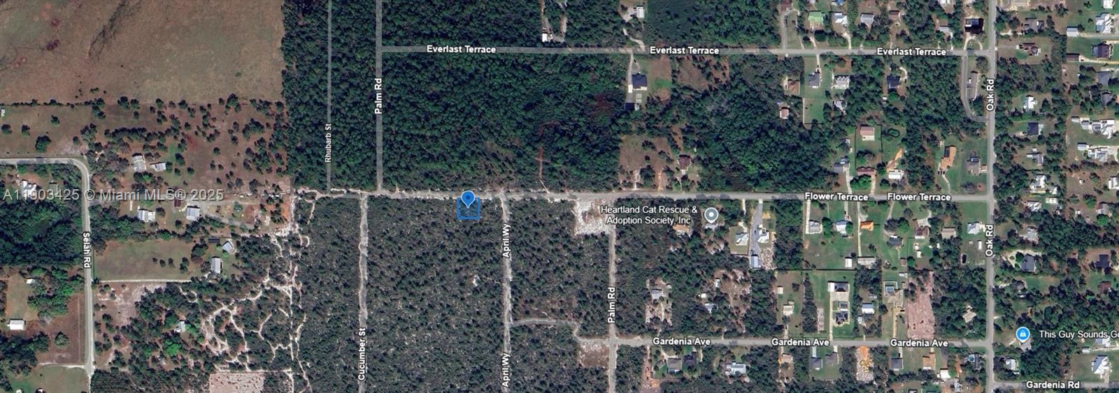 2215 Flower Terrace Sebring, FL 33875 - Photo 5 of 6 a view of outdoor space and garden