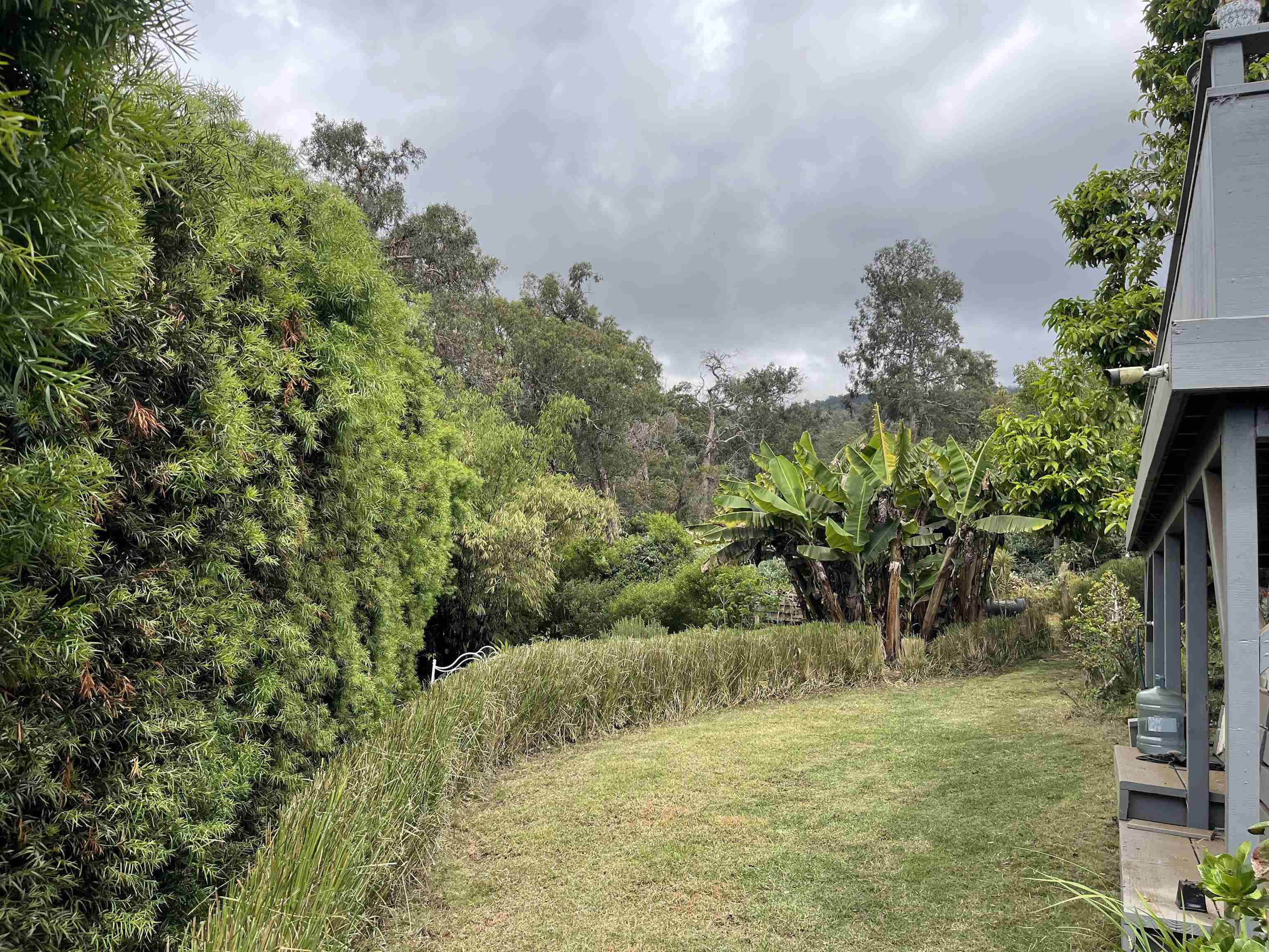 91 Waiakoa Road Kula, HI 96790 - Photo 29 of 33 Gallery Image 29