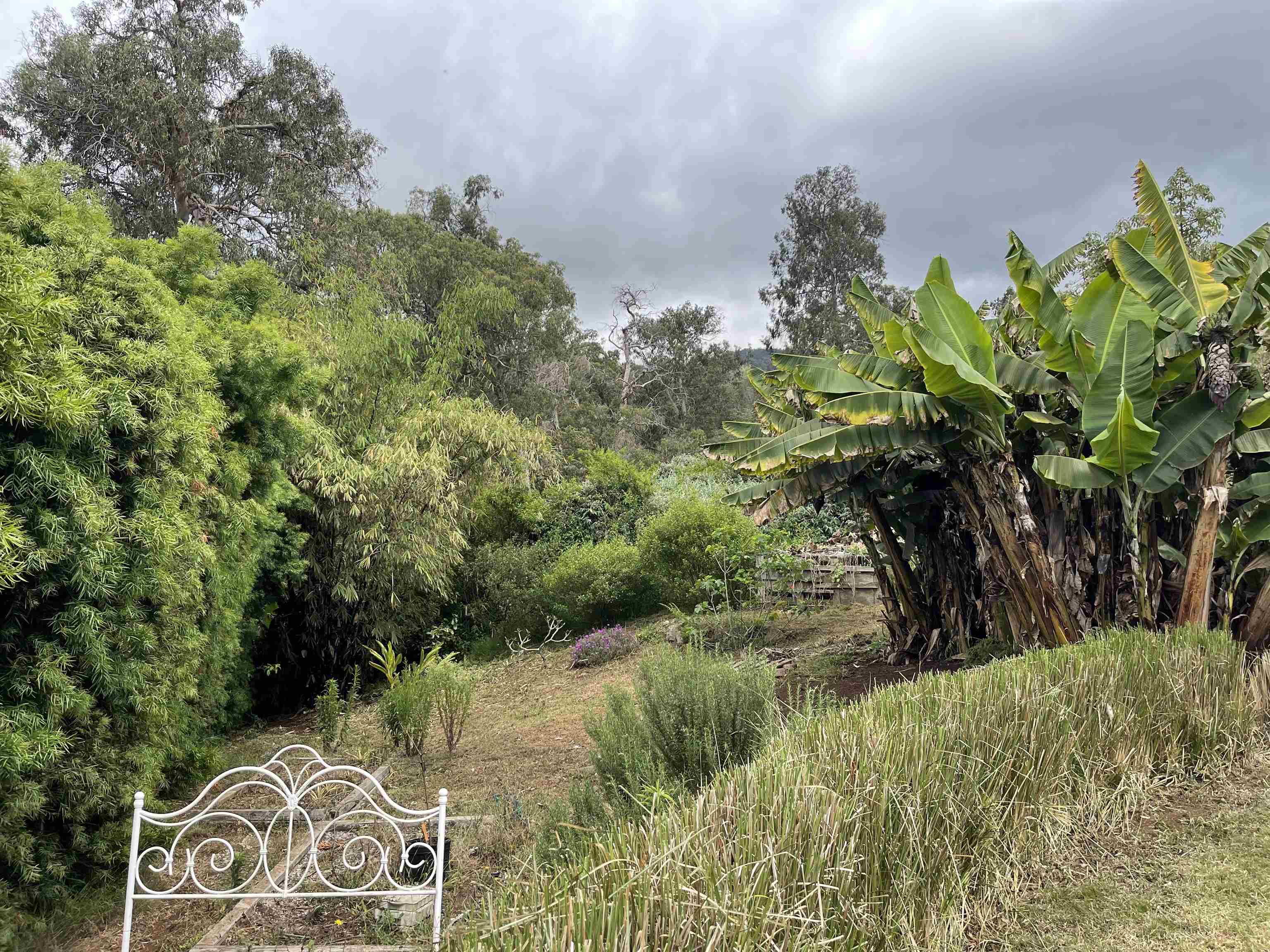 91 Waiakoa Road Kula, HI 96790 - Photo 31 of 33 Gallery Image 31