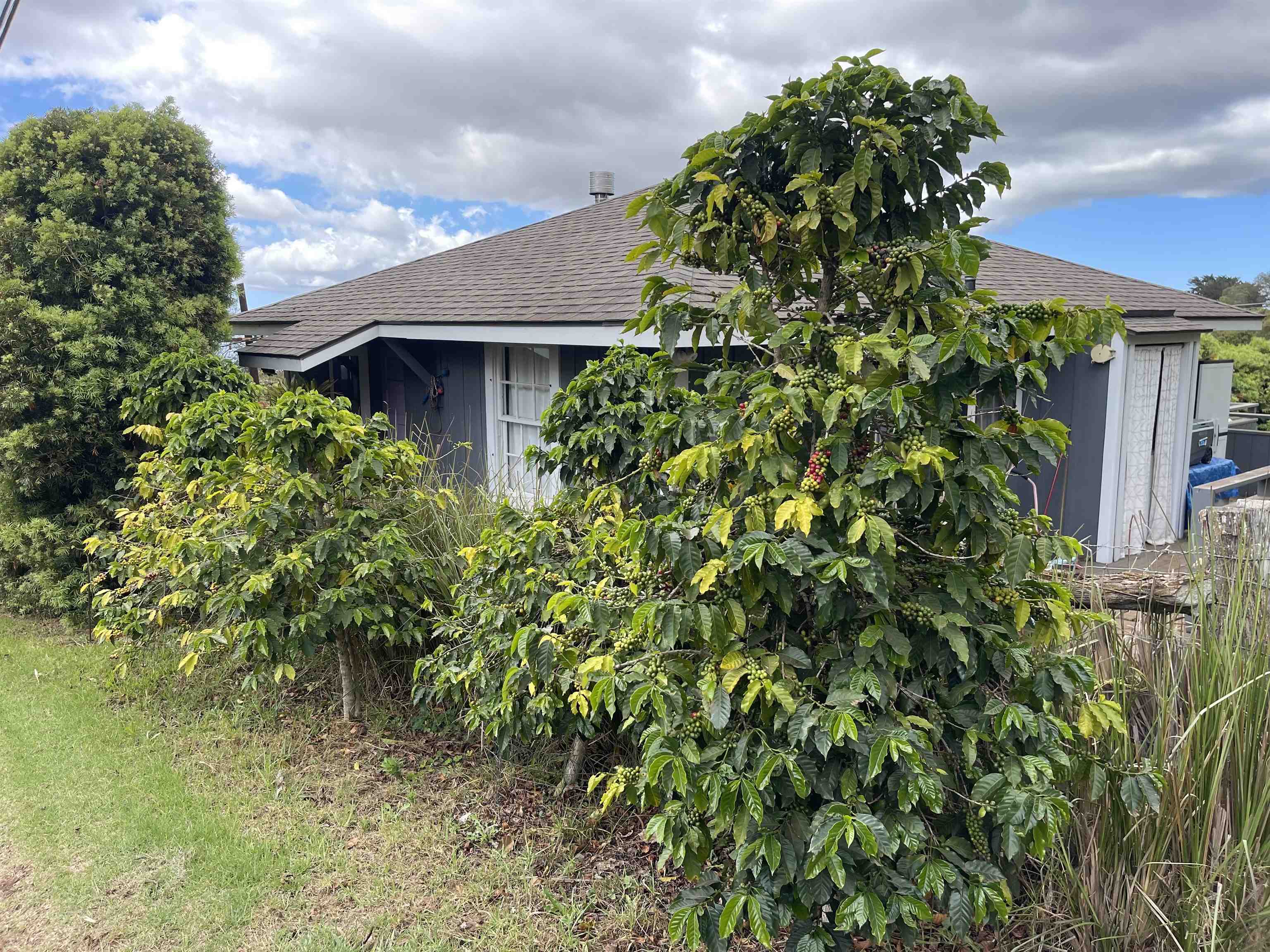 91 Waiakoa Road Kula, HI 96790 - Photo 32 of 33 Gallery Image 32
