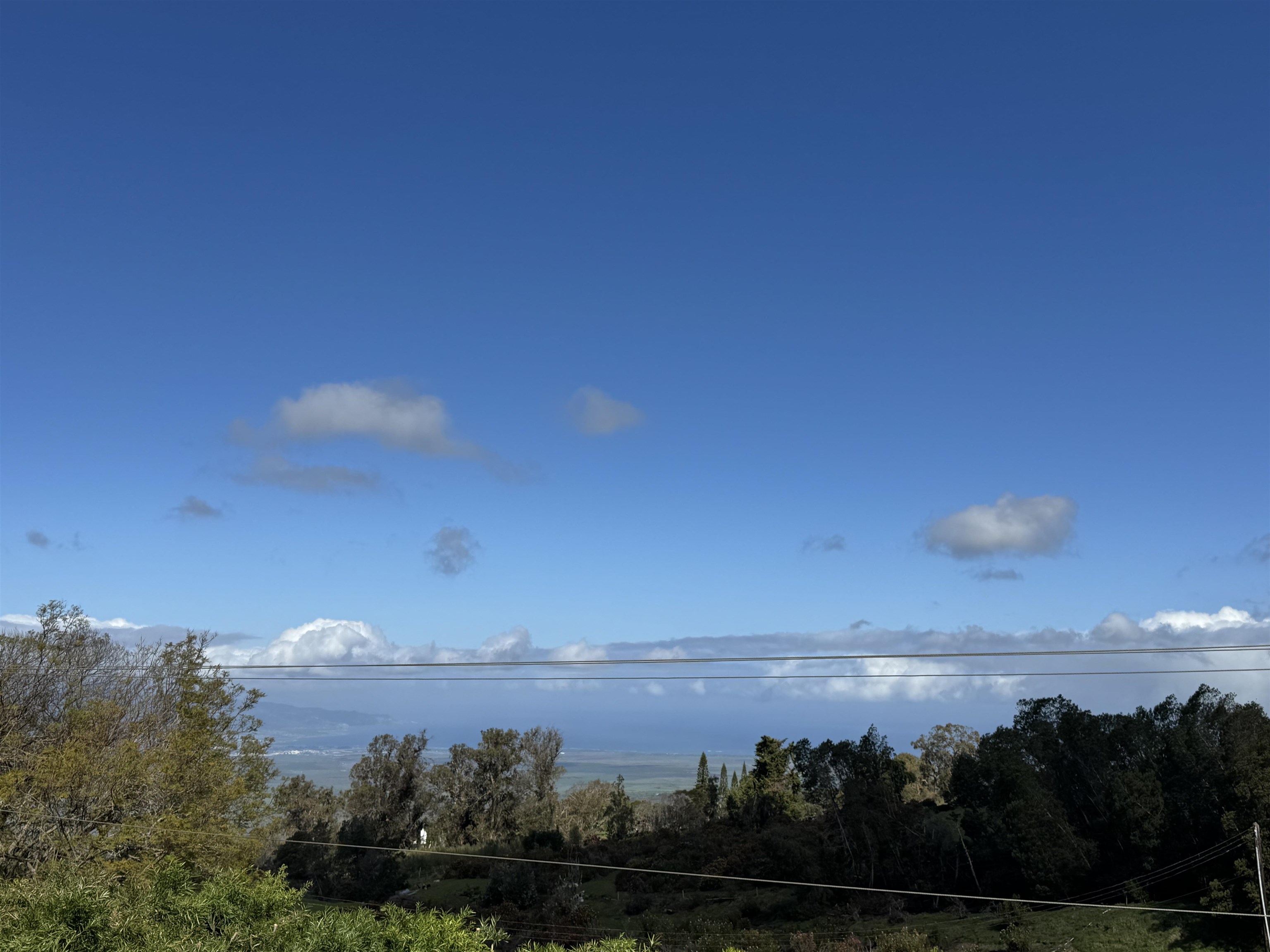 91 Waiakoa Road Kula, HI 96790 - Photo 4 of 33 Gallery Image 4