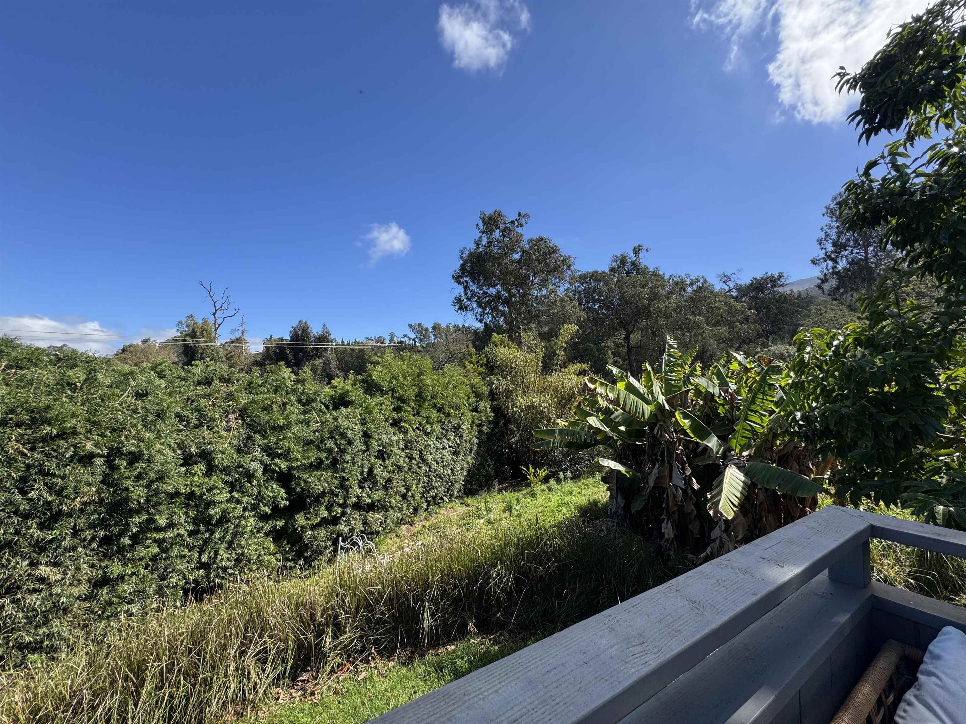 91 Waiakoa Road Kula, HI 96790 - Photo 7 of 33 Gallery Image 7