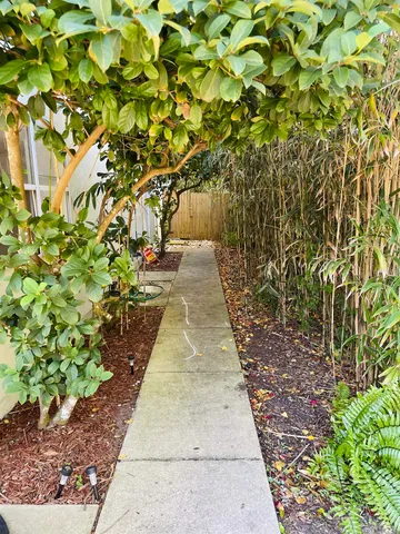 a backyard of a house with lots of green space