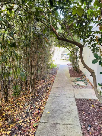 a view of an outdoor space