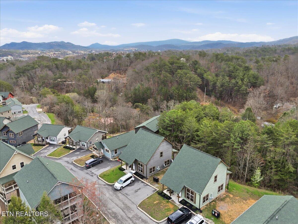 850 Osprey Way Pigeon Forge, TN 37863 - Photo 25 of 29 Aerial