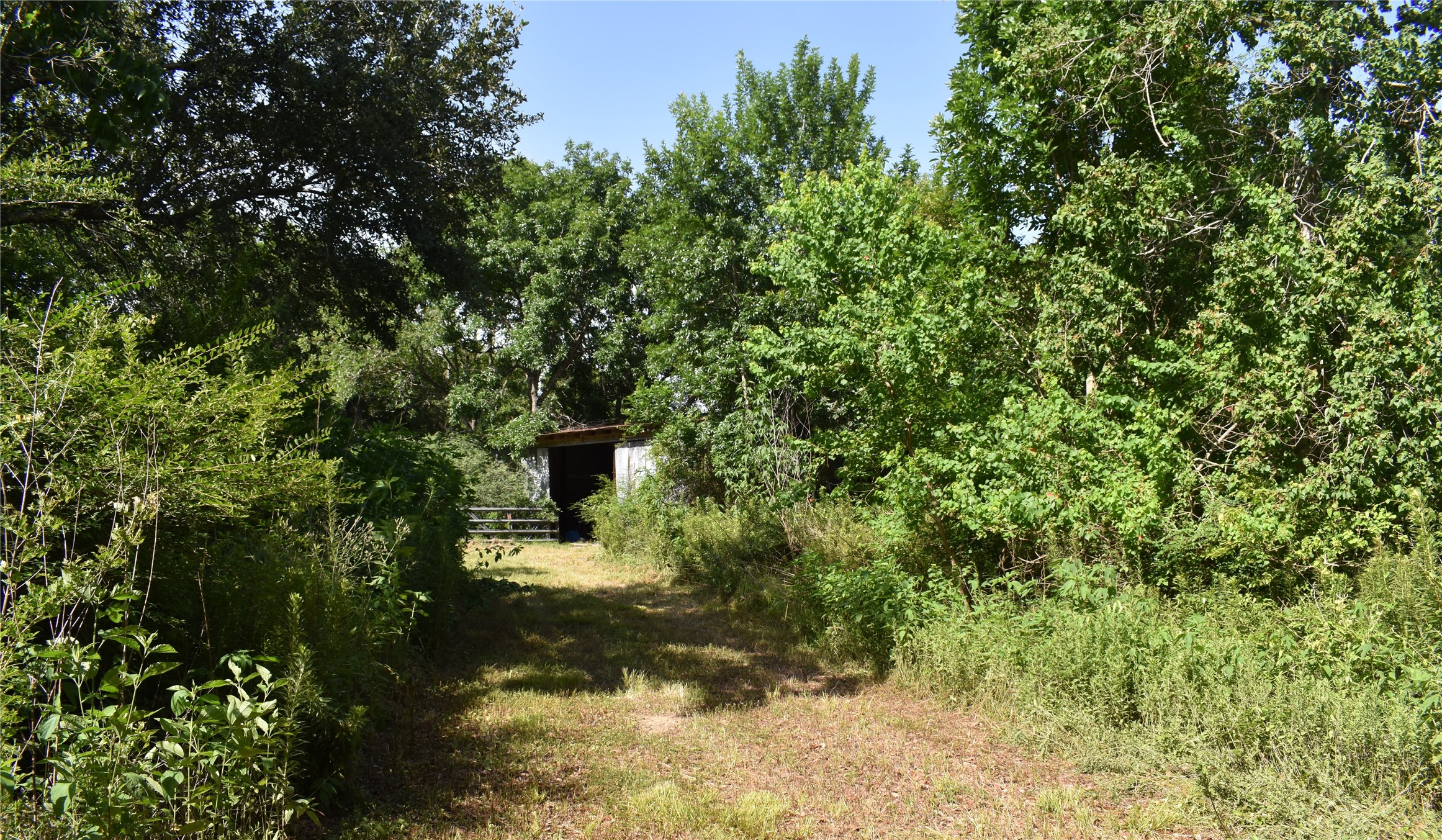 3511 Old Massey Ranch Road Manvel, TX 77578 - Photo 2 of 8 a picture of trees
