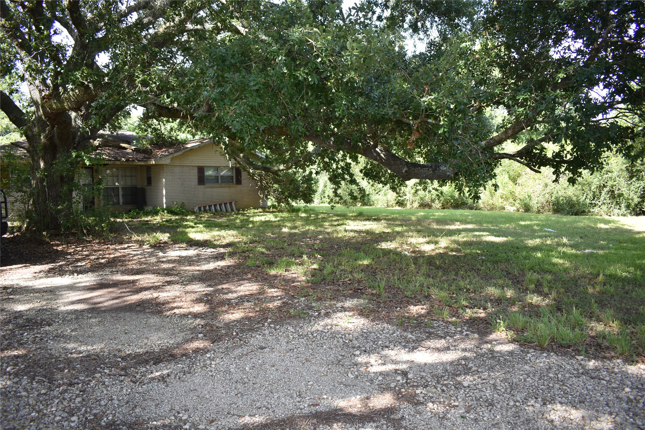 3511 Old Massey Ranch Road Manvel, TX 77578 - Photo 5 of 8 a big yard with trees