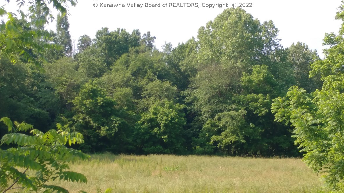 0 Box 71 Rt 7 Road Branchland, WV 25506 - Photo 8 of 13 Gallery Image 8