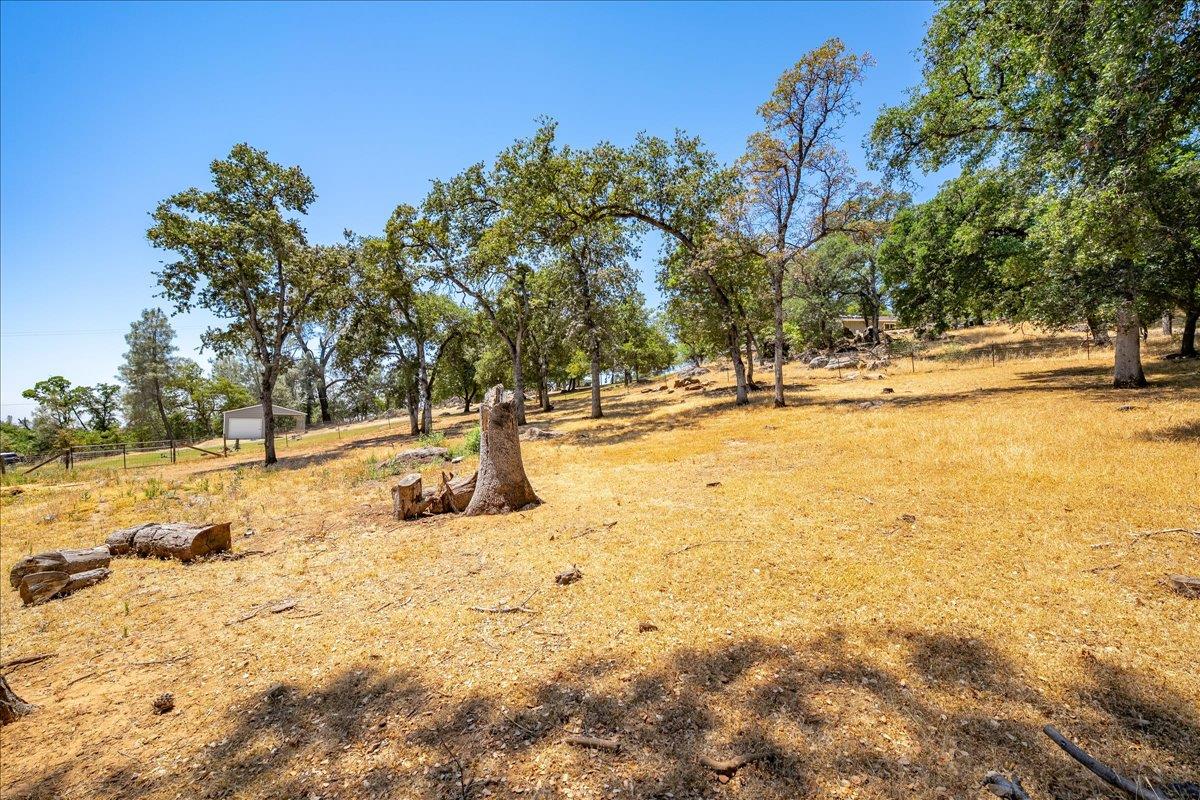 10420 Sabiniana Road Browns Valley, CA 95918 - Photo 52 of 62