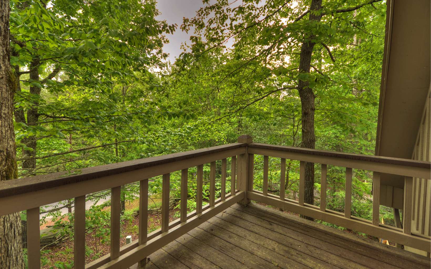 1353 My Mountain Road Morganton, GA 30560 - Photo 24 of 55 Additional View