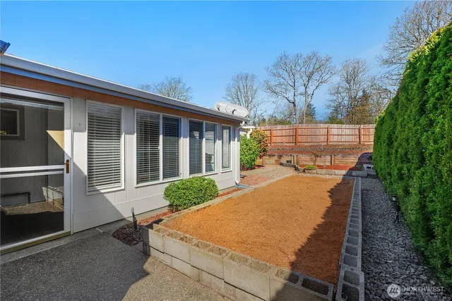 a view of a backyard with plants and a lawn chairs