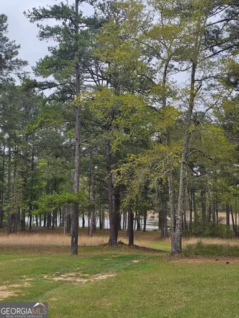 $125,000 | 1089 Lbk Circle, Tignall, GA 30668