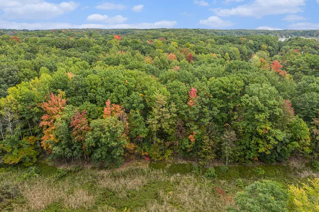 $45,000 | East Dennis Drive, Walkerville, MI 49459