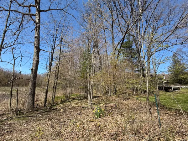 $45,000 | East Dennis Drive, Walkerville, MI 49459