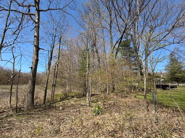 $45,000 | East Dennis Drive, Walkerville, MI 49459