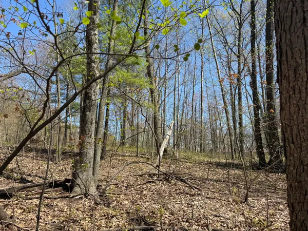 $45,000 | East Dennis Drive, Walkerville, MI 49459