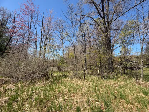 $45,000 | East Dennis Drive, Walkerville, MI 49459