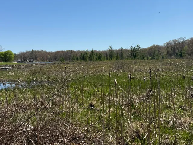 $45,000 | East Dennis Drive, Walkerville, MI 49459