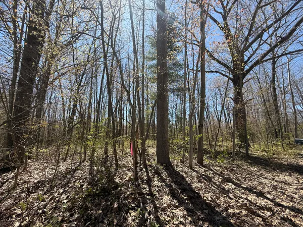 $45,000 | East Dennis Drive, Walkerville, MI 49459