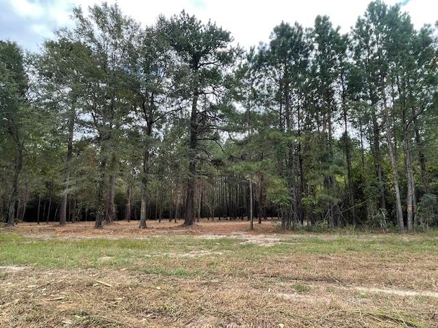 3 Trojan Road Cross, SC 29436 - Photo 4 of 21