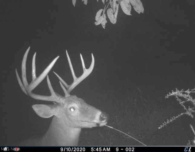 55234 North Star Road Pleasant City, OH 43772 - Photo 9 of 35