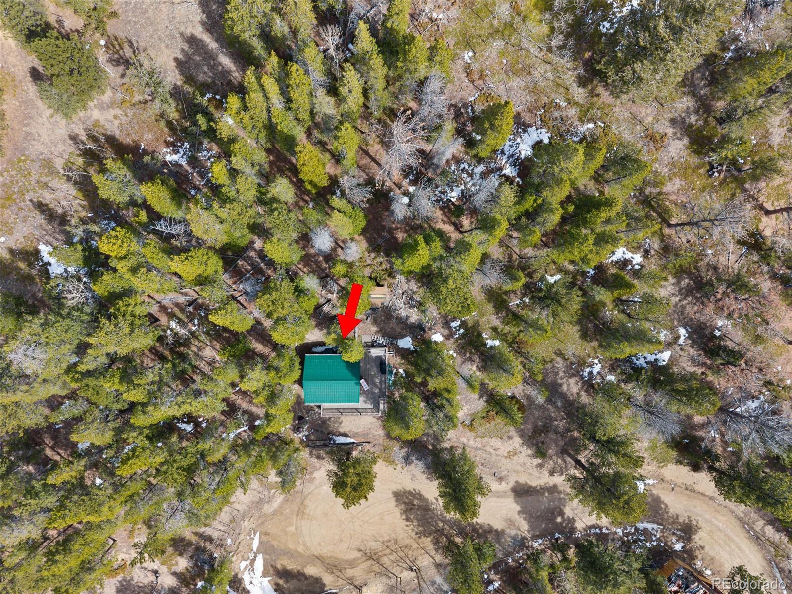 231 Elk Place Black Hawk, CO 80422 - Photo 15 of 16