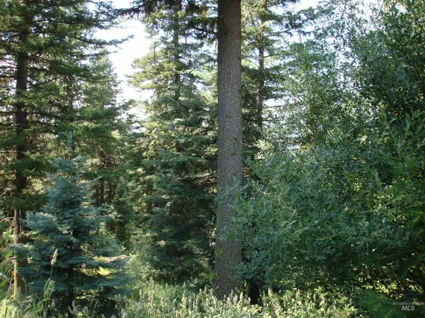 $220,000 | Lot 68 Aspen Ridge Lane, McCall, ID 83638