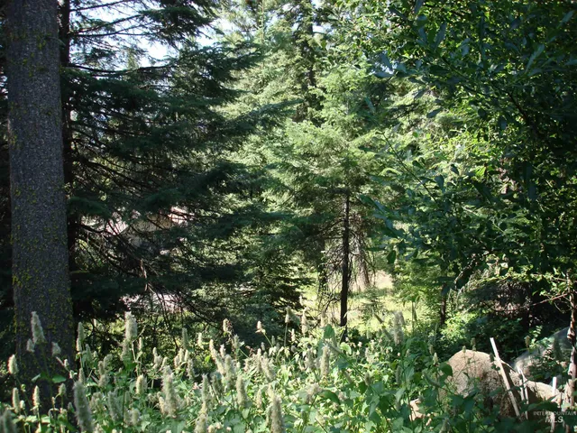 $220,000 | Lot 68 Aspen Ridge Lane, McCall, ID 83638