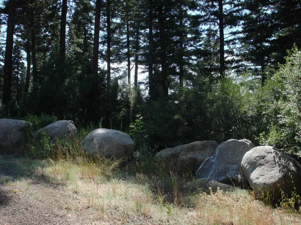 $220,000 | Lot 68 Aspen Ridge Lane, McCall, ID 83638