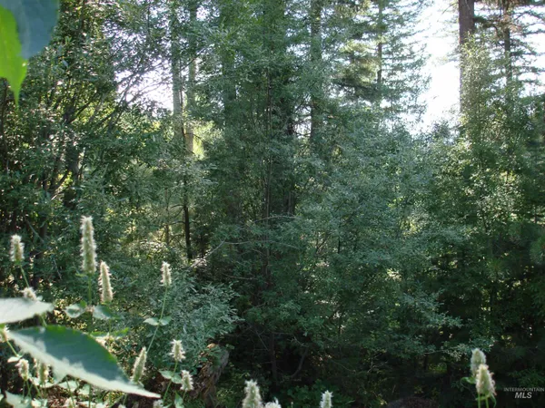 $220,000 | Lot 68 Aspen Ridge Lane, McCall, ID 83638