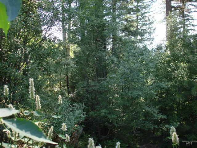 $220,000 | Lot 68 Aspen Ridge Lane, McCall, ID 83638