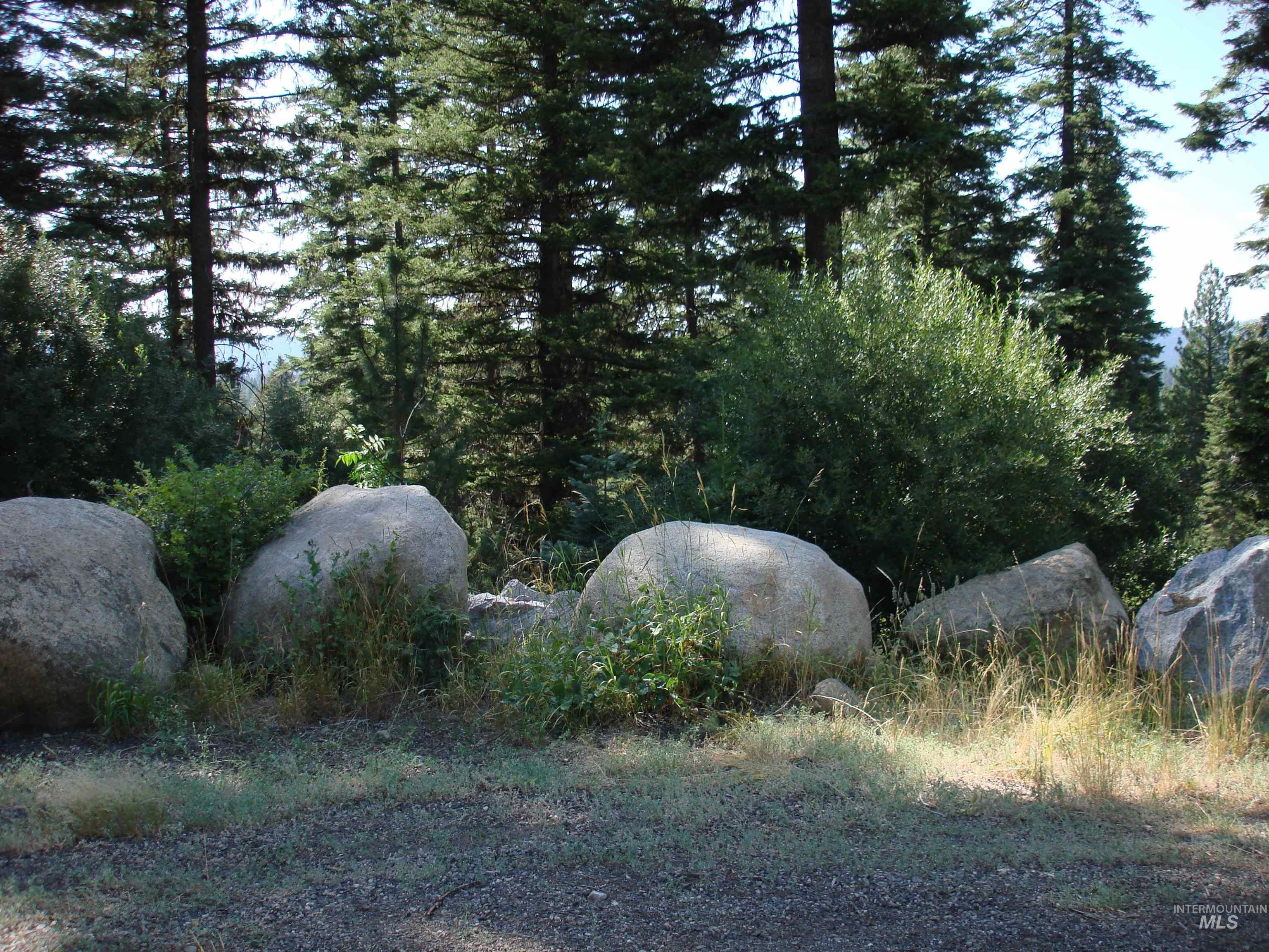 Lot 68 Aspen Ridge Lane McCall, ID 83638 - Photo 10 of 10