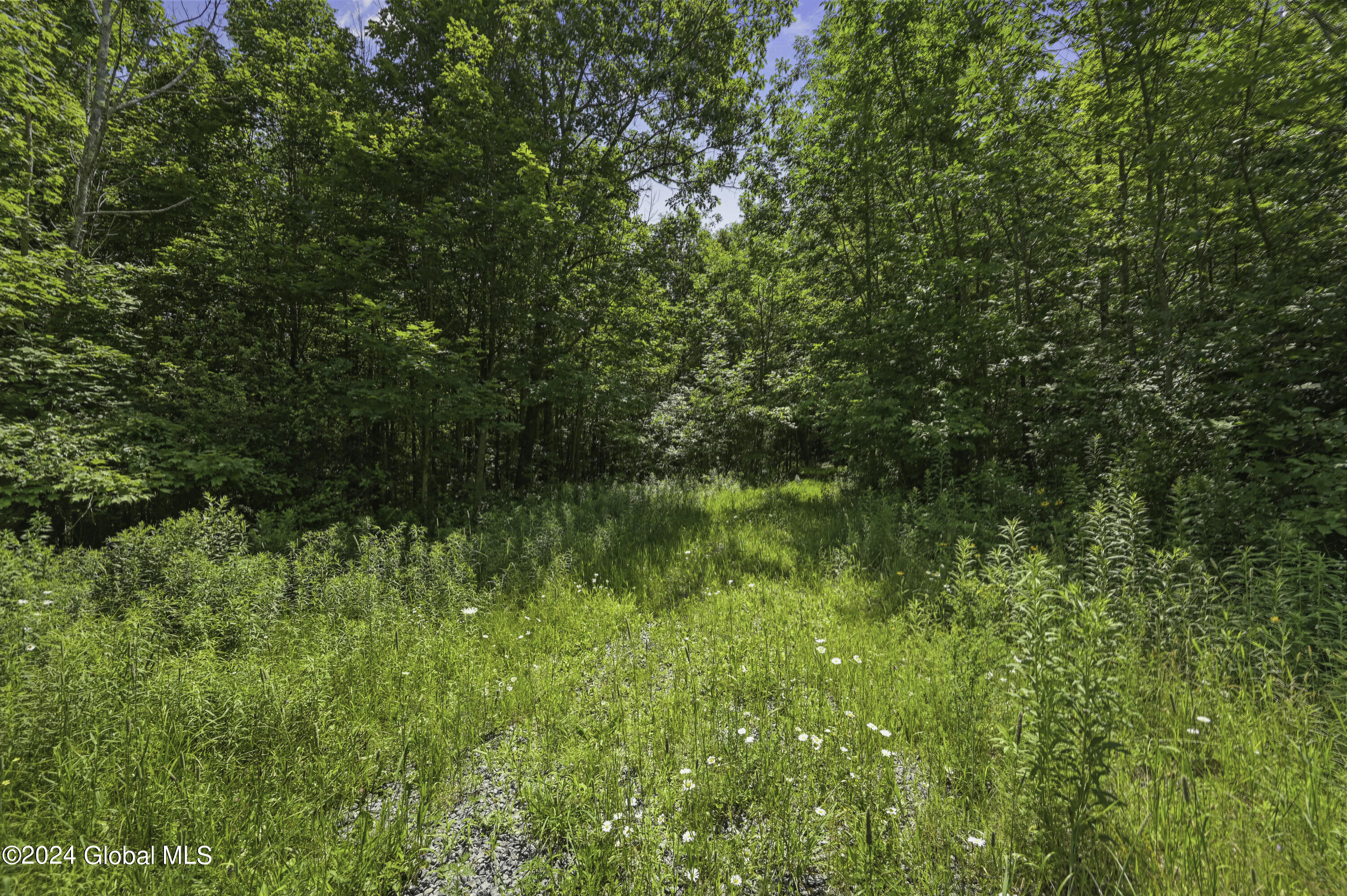 L9 Winegard Road Cobleskill, NY 12043 - Photo 5 of 26 Camera L9 Winegard Rd-6