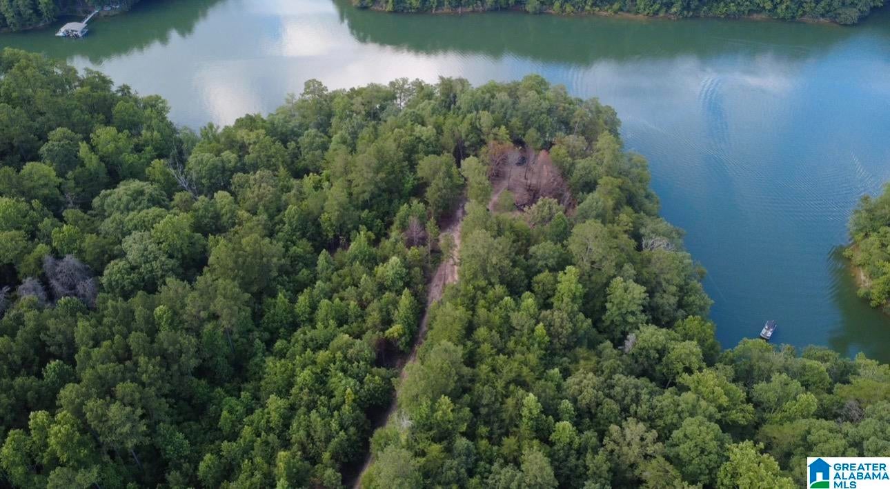 111 Quiet Cove Road Jasper, AL 35503 - Photo 24 of 28 Gallery Image 24