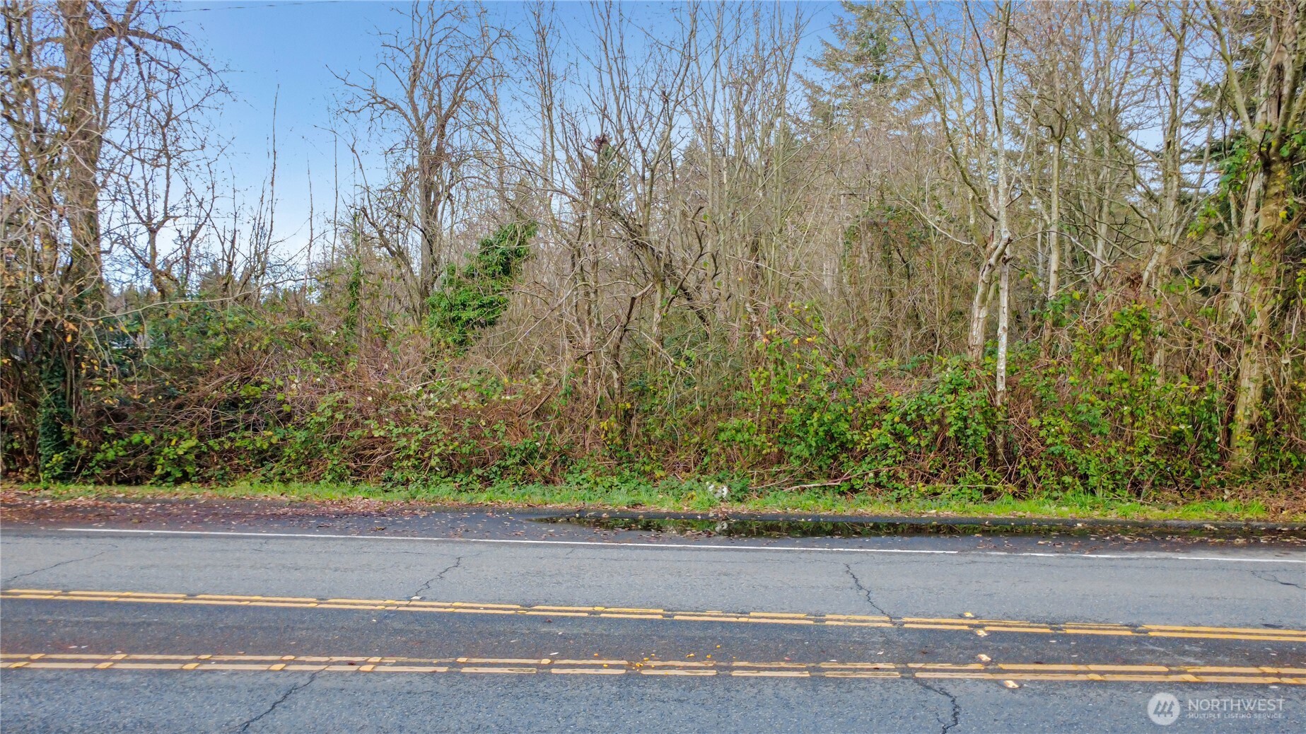 1248 Southwest 312th Street Federal Way, WA 98023 - Photo 4 of 10