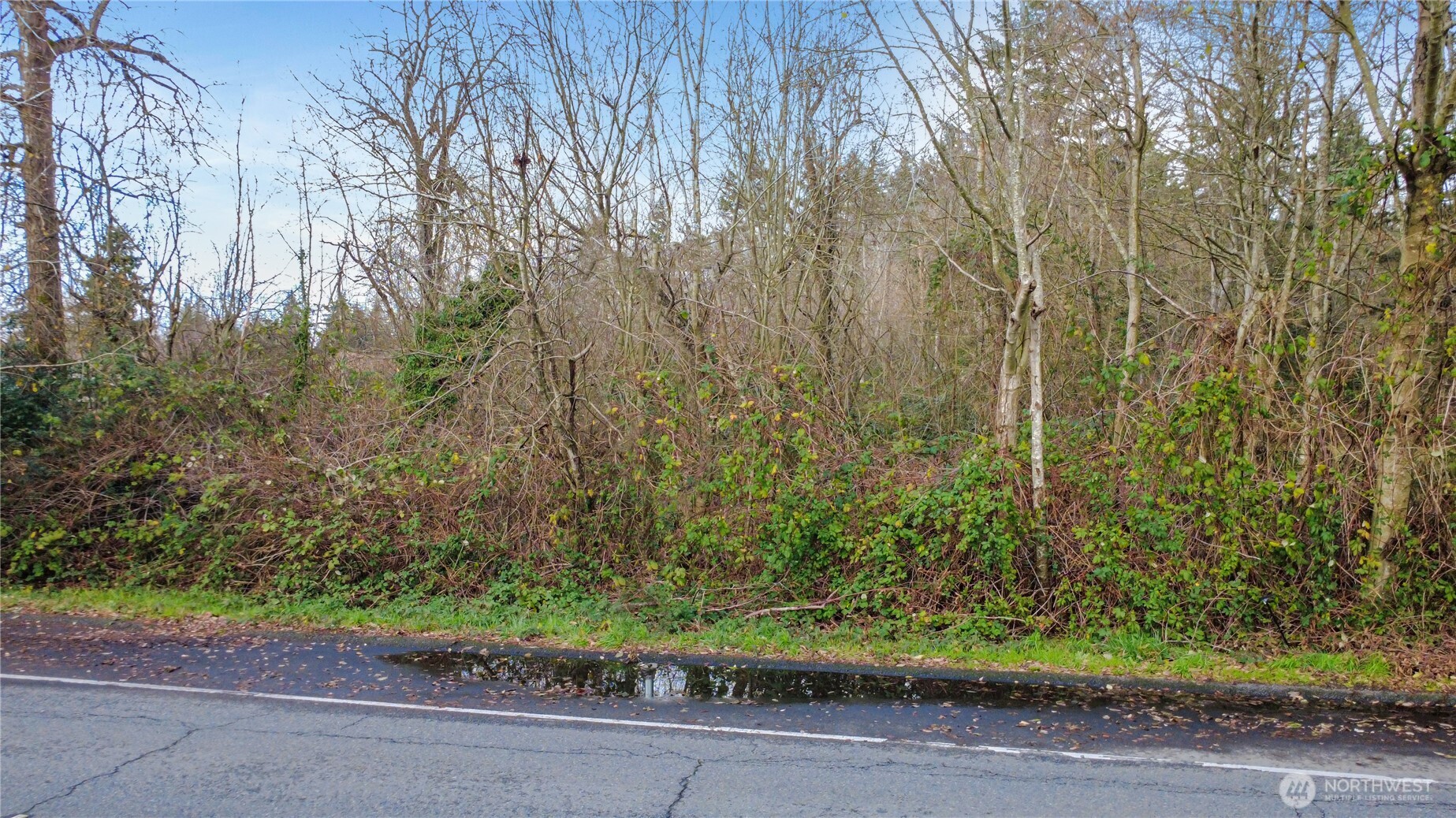 1248 Southwest 312th Street Federal Way, WA 98023 - Photo 5 of 10