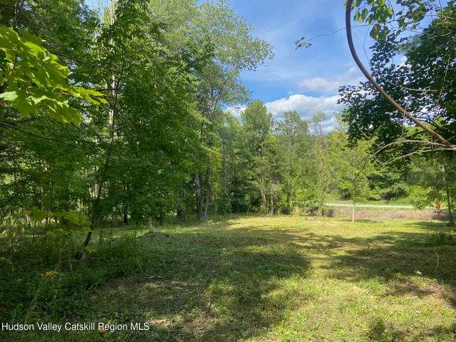a large yard with lots of green space and trees around