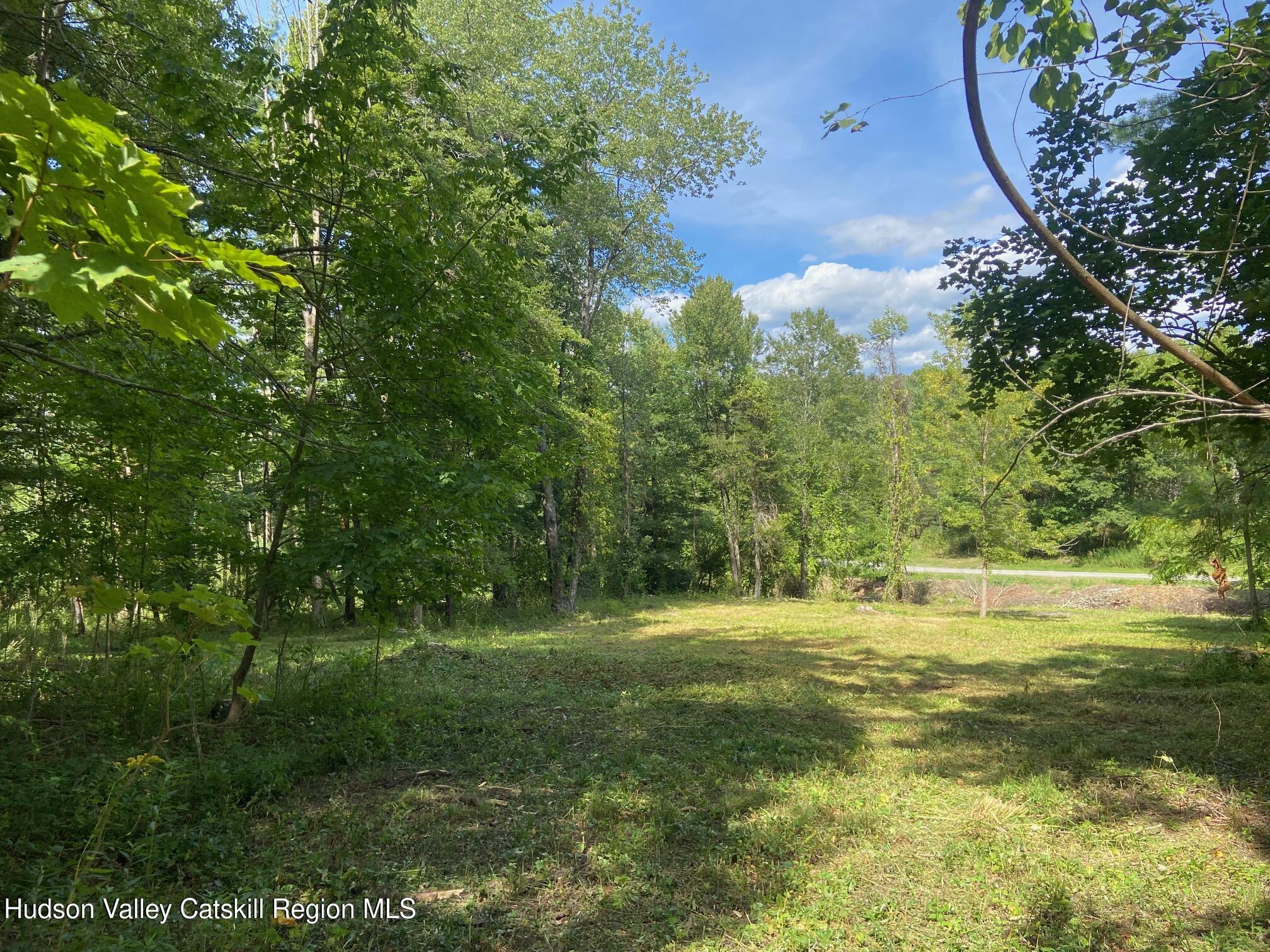 a large yard with lots of green space and trees around