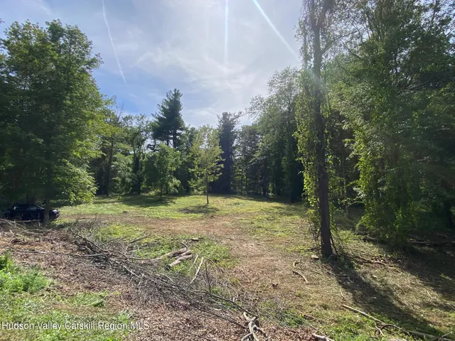 a view of a yard with plants and trees