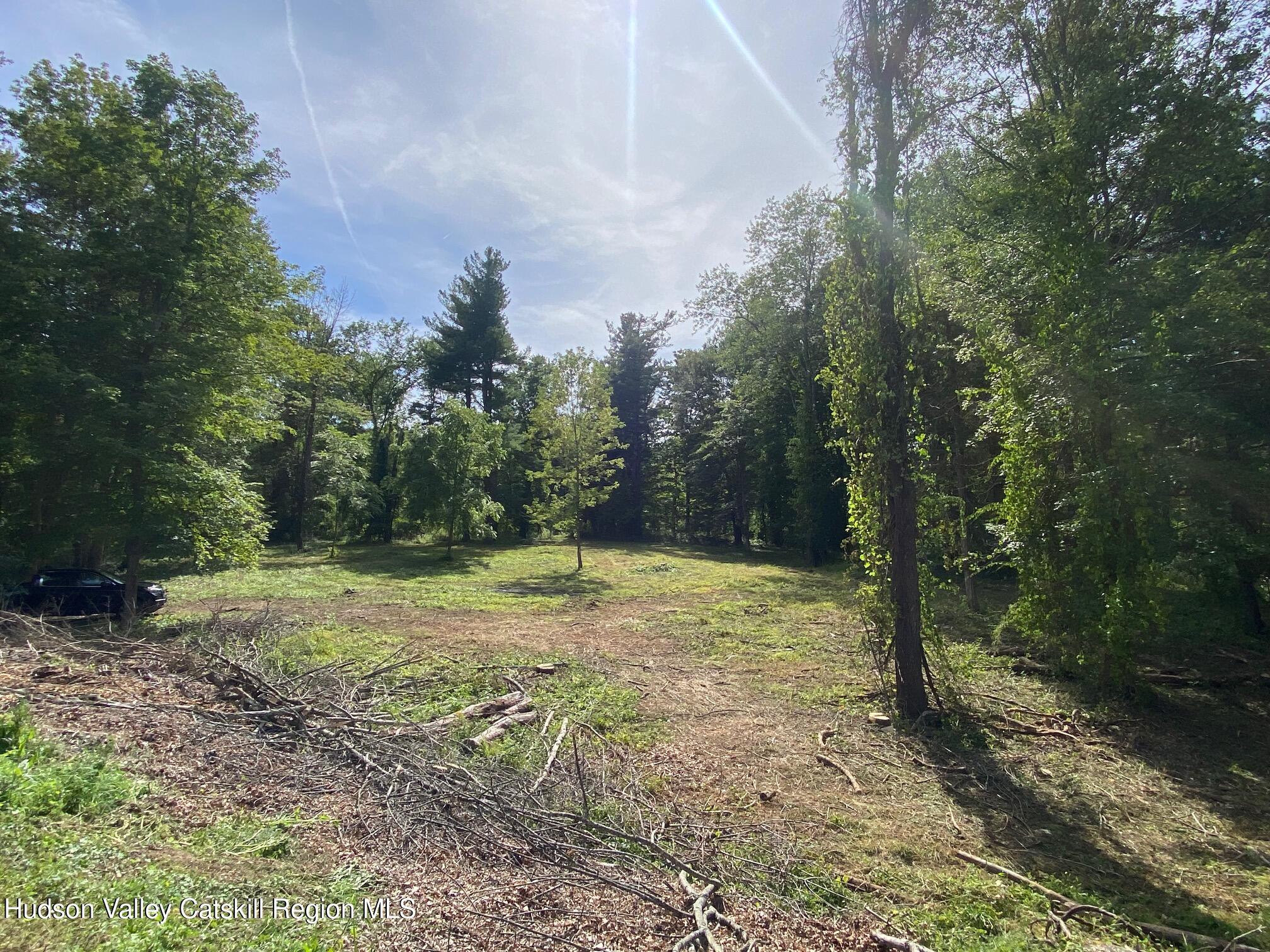0 Thomas Road Craryville, NY 12521 - Photo 2 of 9 a view of a yard with plants and trees