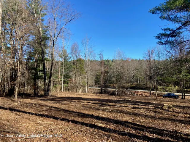 a view of a yard with tree s